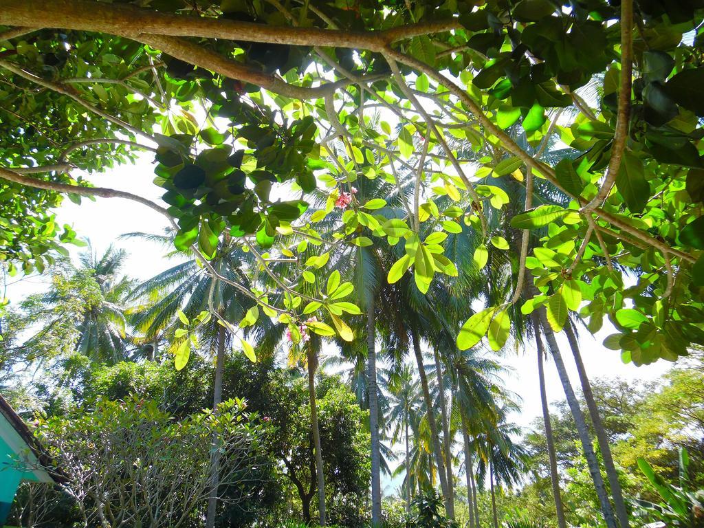 Lazy Monkey Hotel Senggigi Eksteriør billede